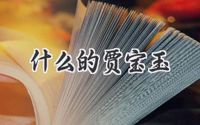 什么的贾宝玉