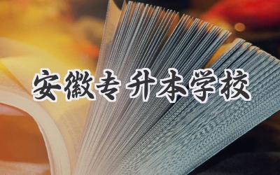 安徽专升本学校