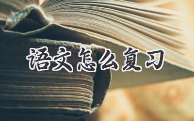 语文怎么复习
