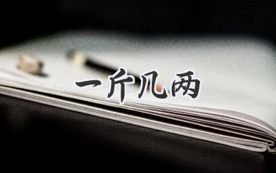 一斤几两