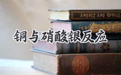 铜与硝酸银反应