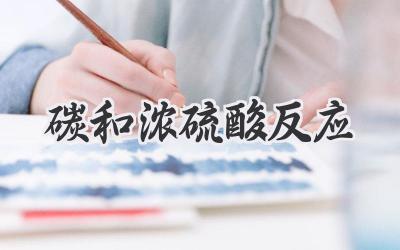 碳和浓硫酸反应