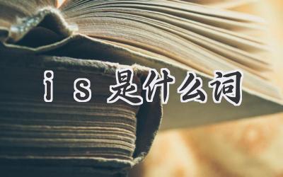 is是什么词
