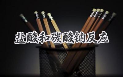 盐酸和碳酸钠反应