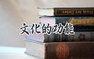 文化的功能