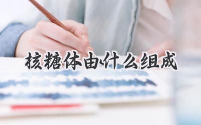 核糖体由什么组成