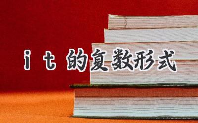 it的复数形式