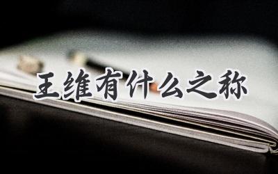 王维有什么之称