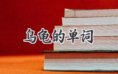 乌龟的单词
