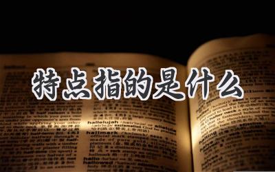 特点指的是什么