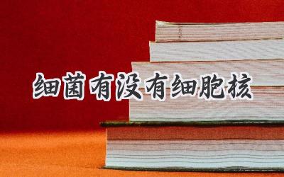 细菌有没有细胞核