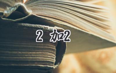 2加2