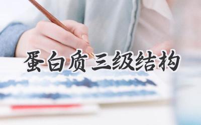 蛋白质三级结构