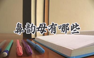 鼻韵母有哪些