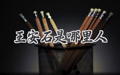王安石是哪里人