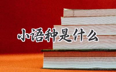 小语种是什么