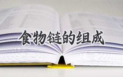 食物链的组成