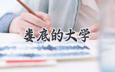 娄底的大学