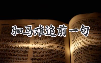 驷马难追前一句