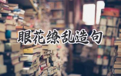 眼花缭乱造句