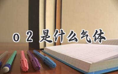 o2是什么气体