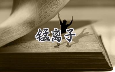锰离子