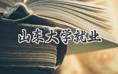 山东大学就业