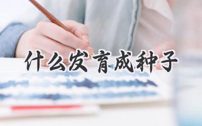 什么发育成种子