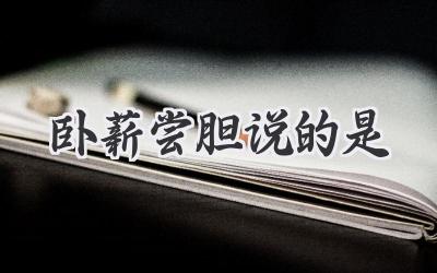 卧薪尝胆说的是