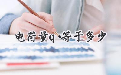 电荷量q等于多少