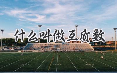 什么叫做互质数