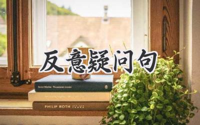 反意疑问句