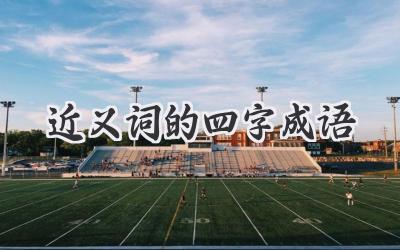 近义词的四字成语