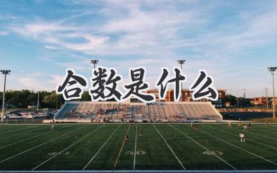 合数是什么