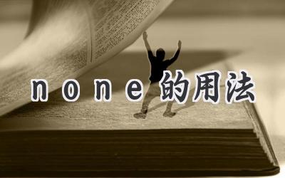 none的用法
