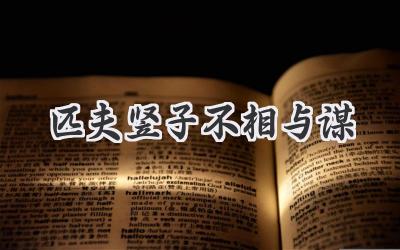 匹夫竖子不相与谋