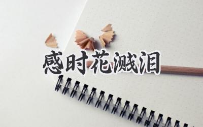 感时花溅泪