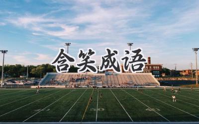 含笑成语