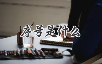 序号是什么
