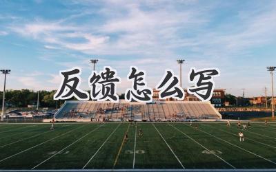 反馈怎么写