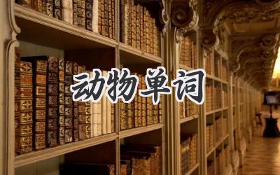 动物单词