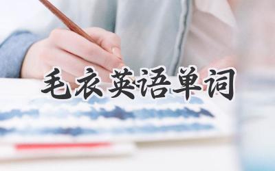 毛衣英语单词