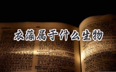 衣藻属于什么生物