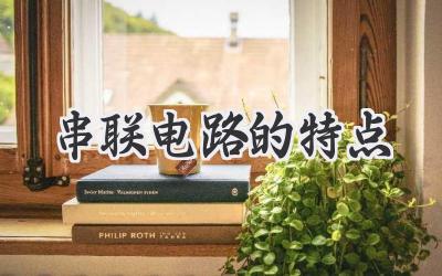 串联电路的特点