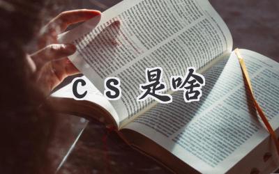 cs是啥