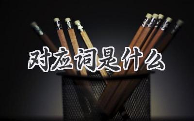 对应词是什么