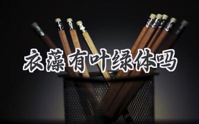 衣藻有叶绿体吗