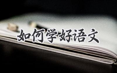 如何学好语文