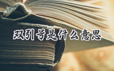 双引号是什么意思