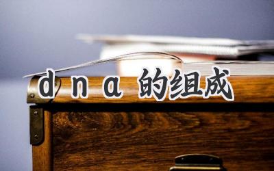dna的组成